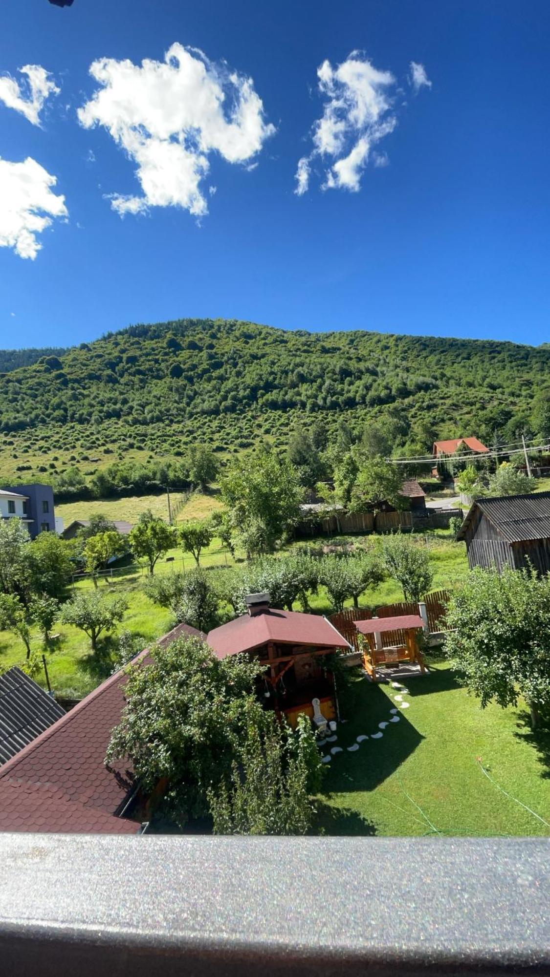 Pensiunea Vatafu Gura Rîului Exterior foto
